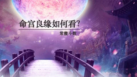 紫微花开七夕时，命宫良缘如何看？