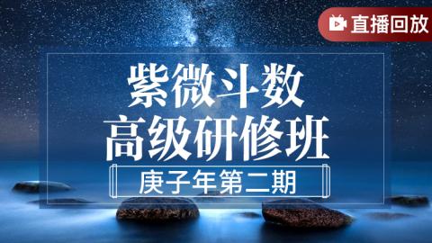 紫微斗数高级研修班2020年第二期-付刚老师【直播录屏】