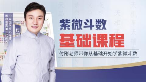 从零开始学紫微，揭开星曜的秘密-付刚老师