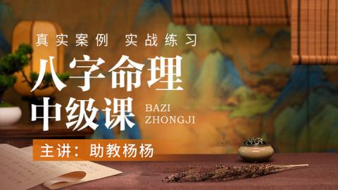 【直播回放】第18期 八字命理中级案例课-杨杨