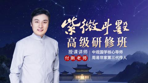 252紫微斗数高级研修班
